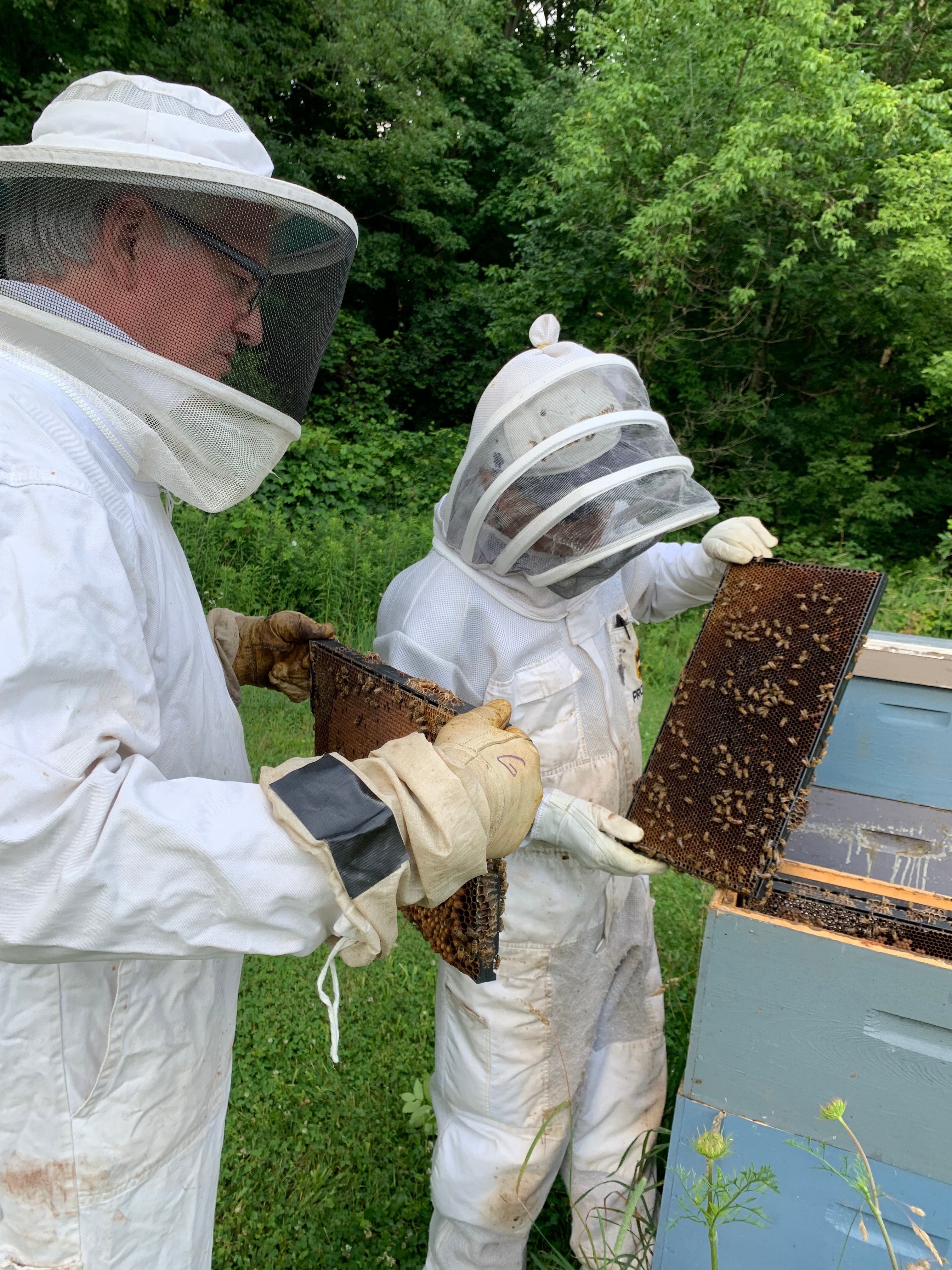 Why Burn Beeswax?