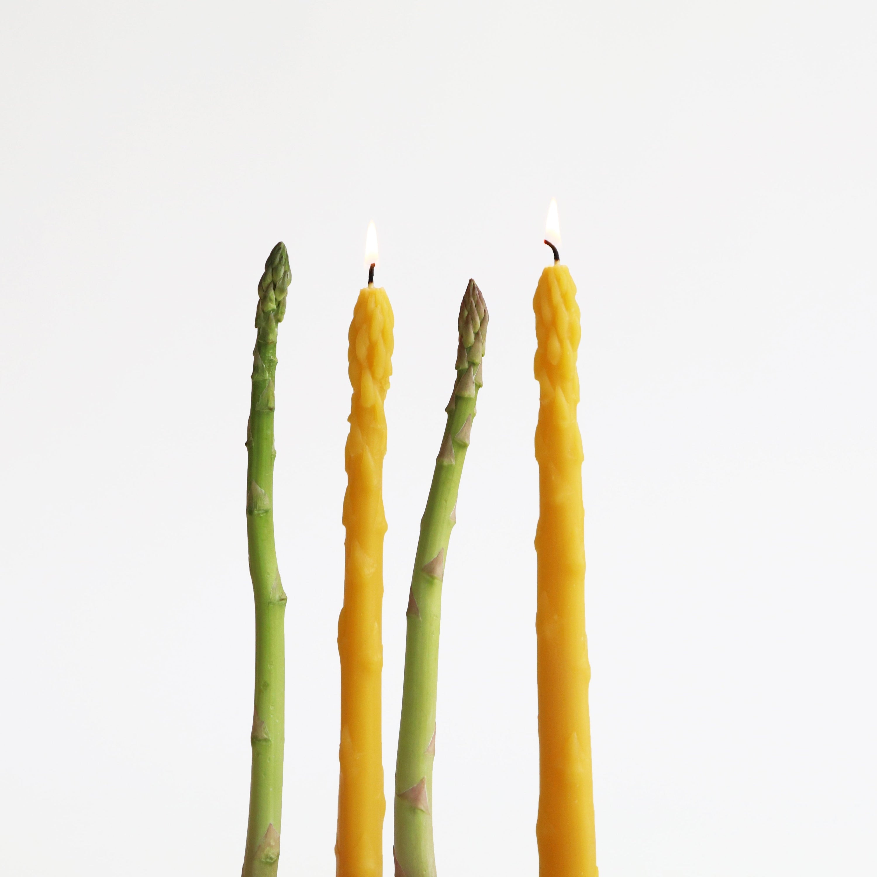 asparagus beeswax tapers with real spears