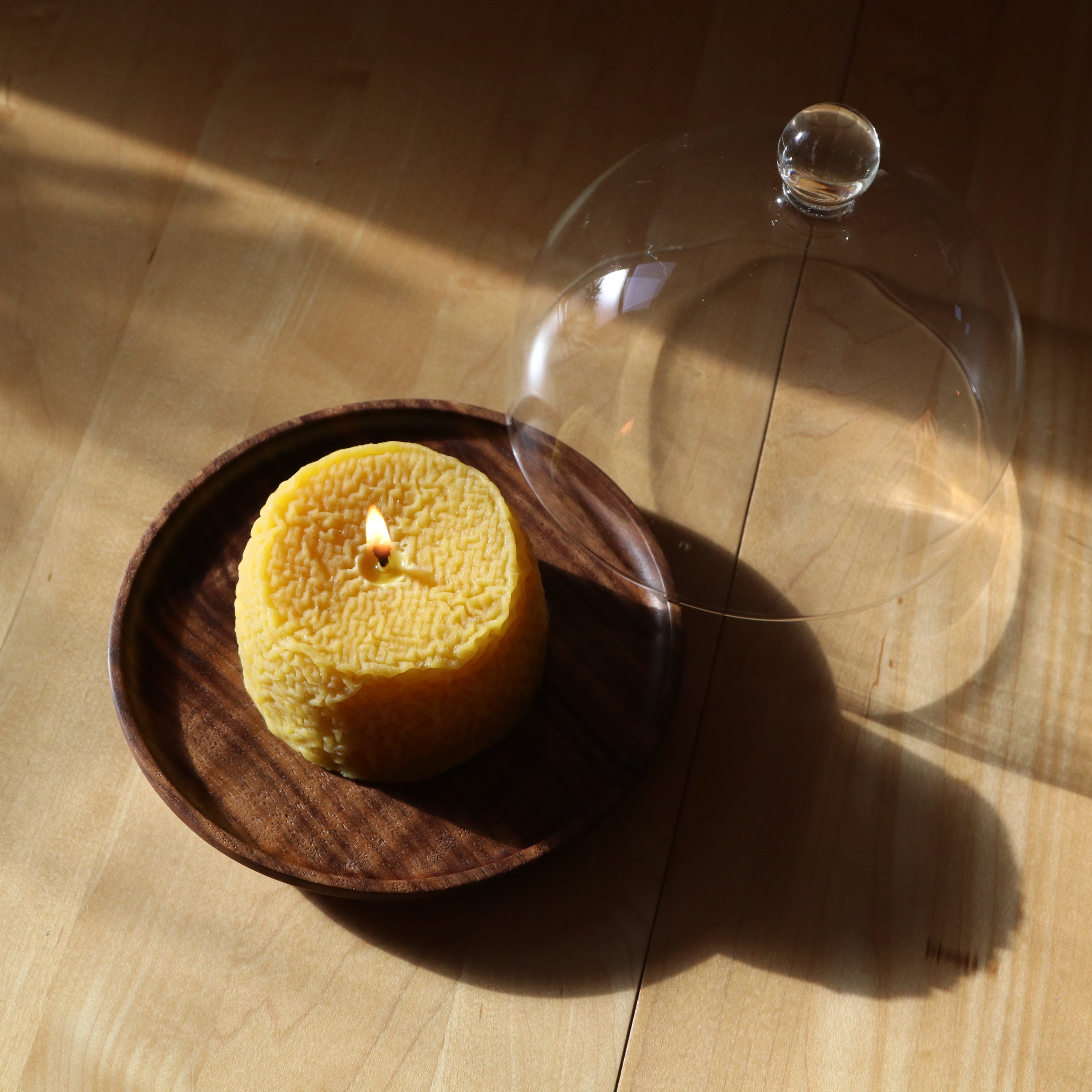 cheese candle in shadow
