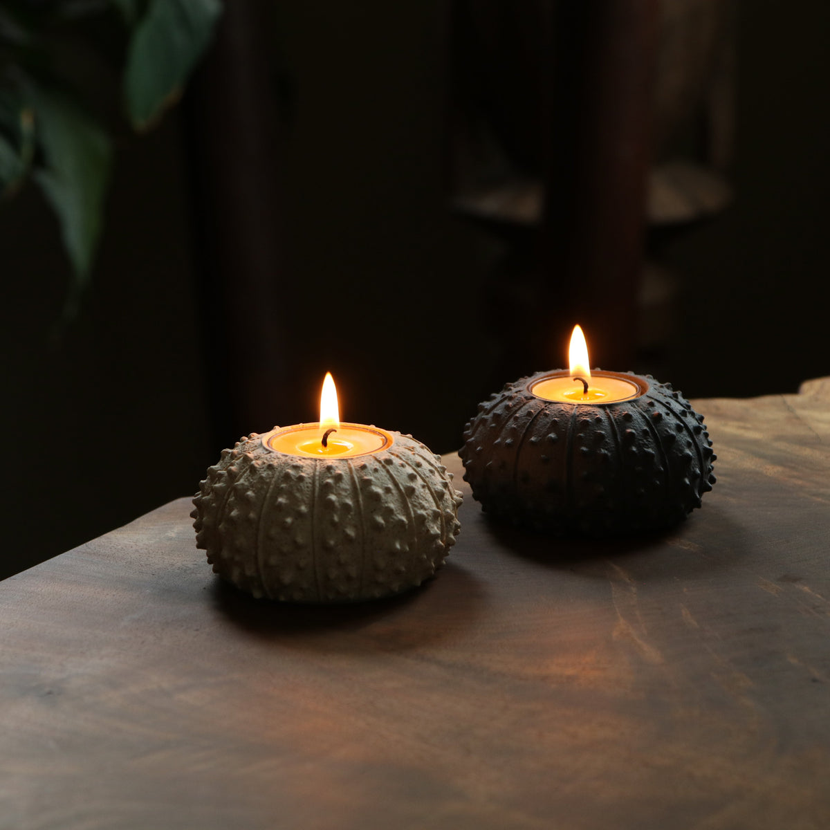 Sea Urchin Tealight Holder
