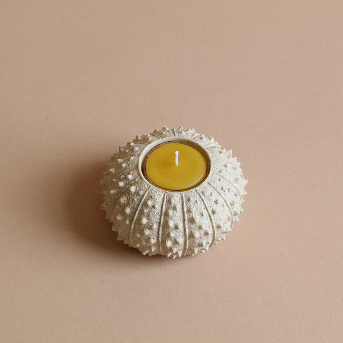 Sea Urchin Tealight Holder