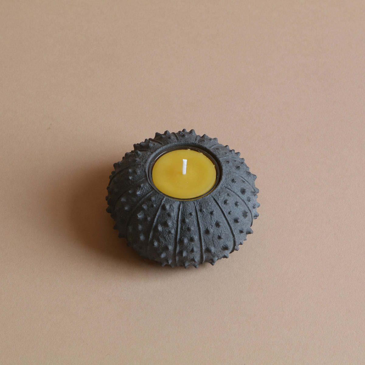 Sea Urchin Tealight Holder