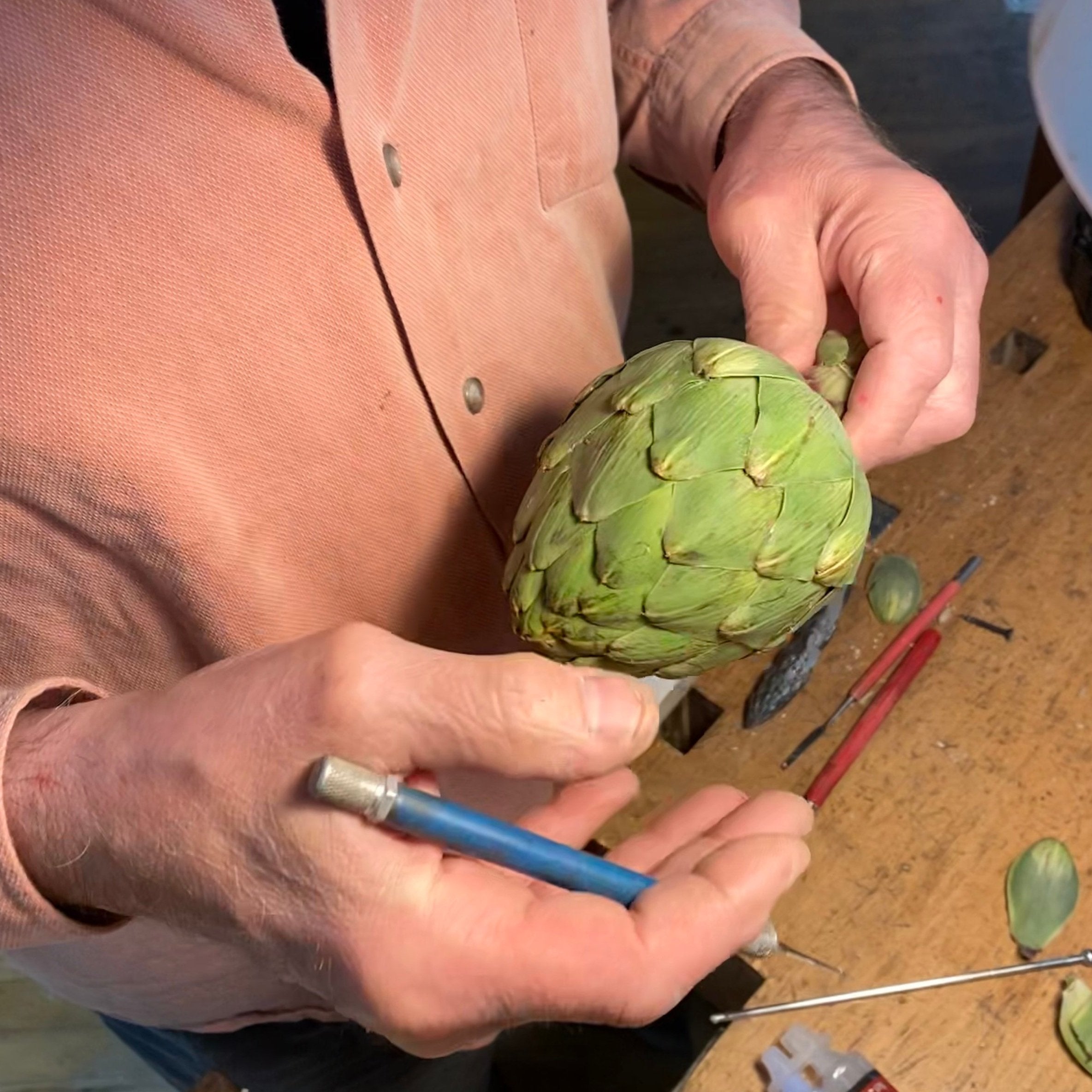 hands with an artichoke