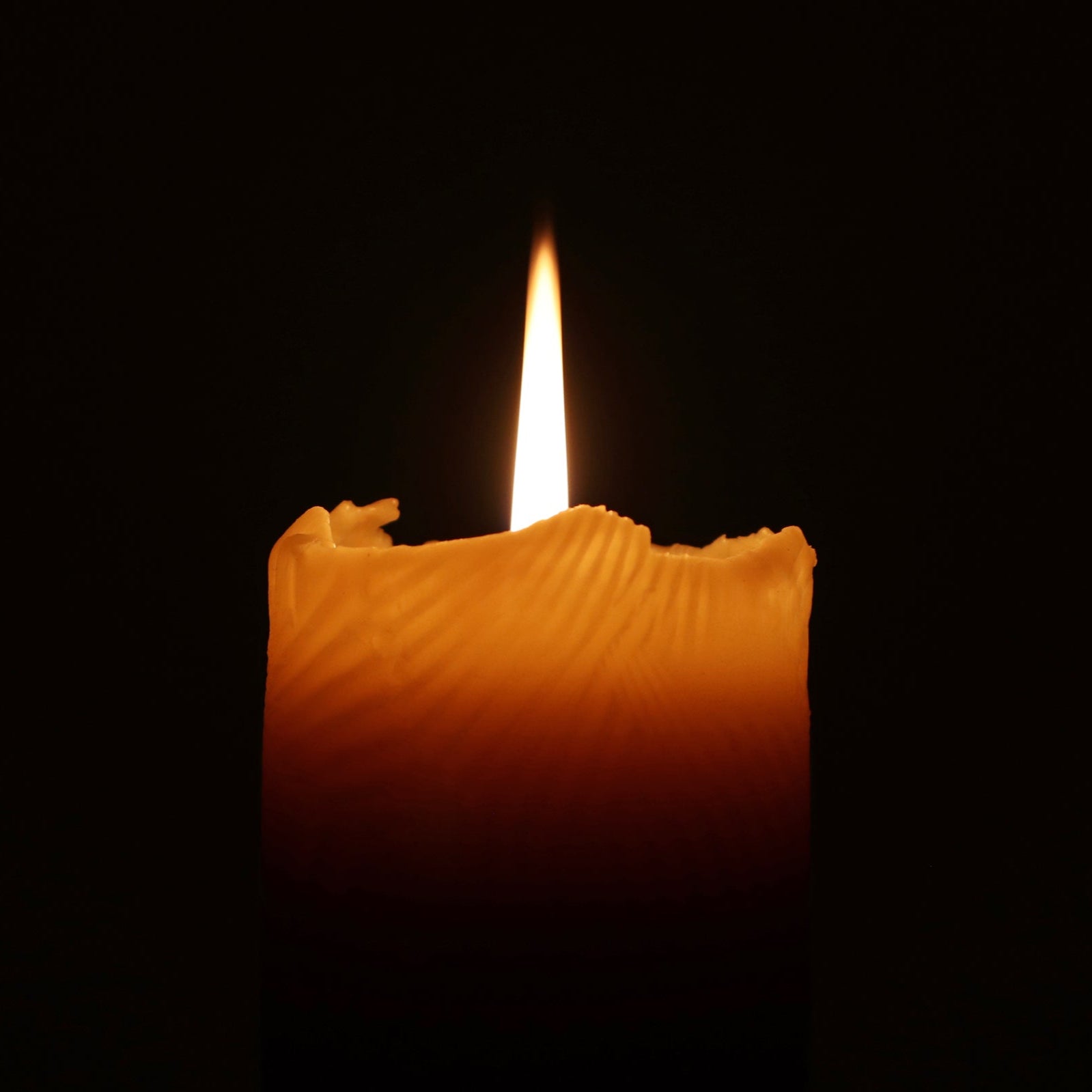 Scallop Shell Beeswax Pillar