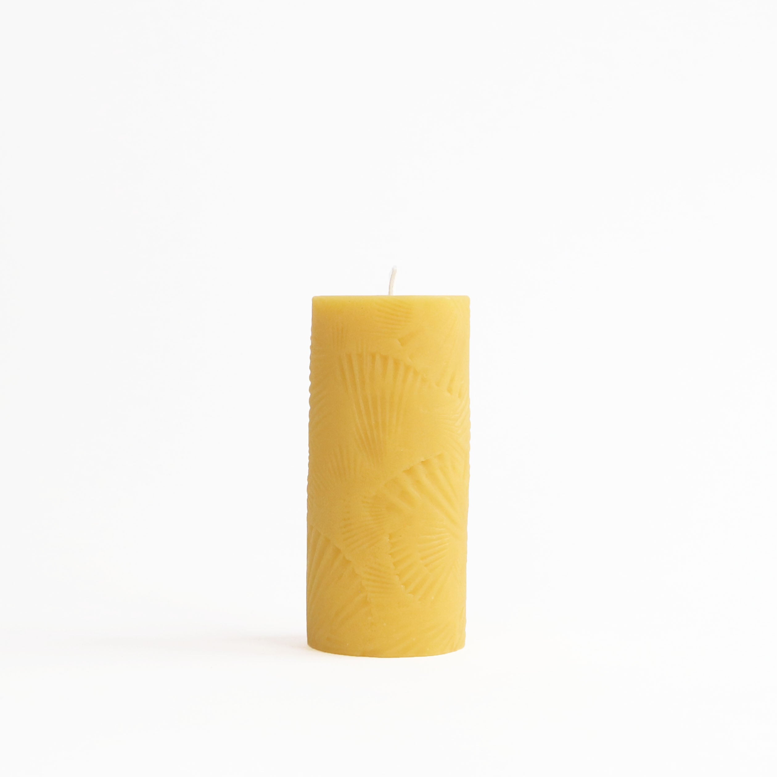 Scallop Shell Beeswax Pillar