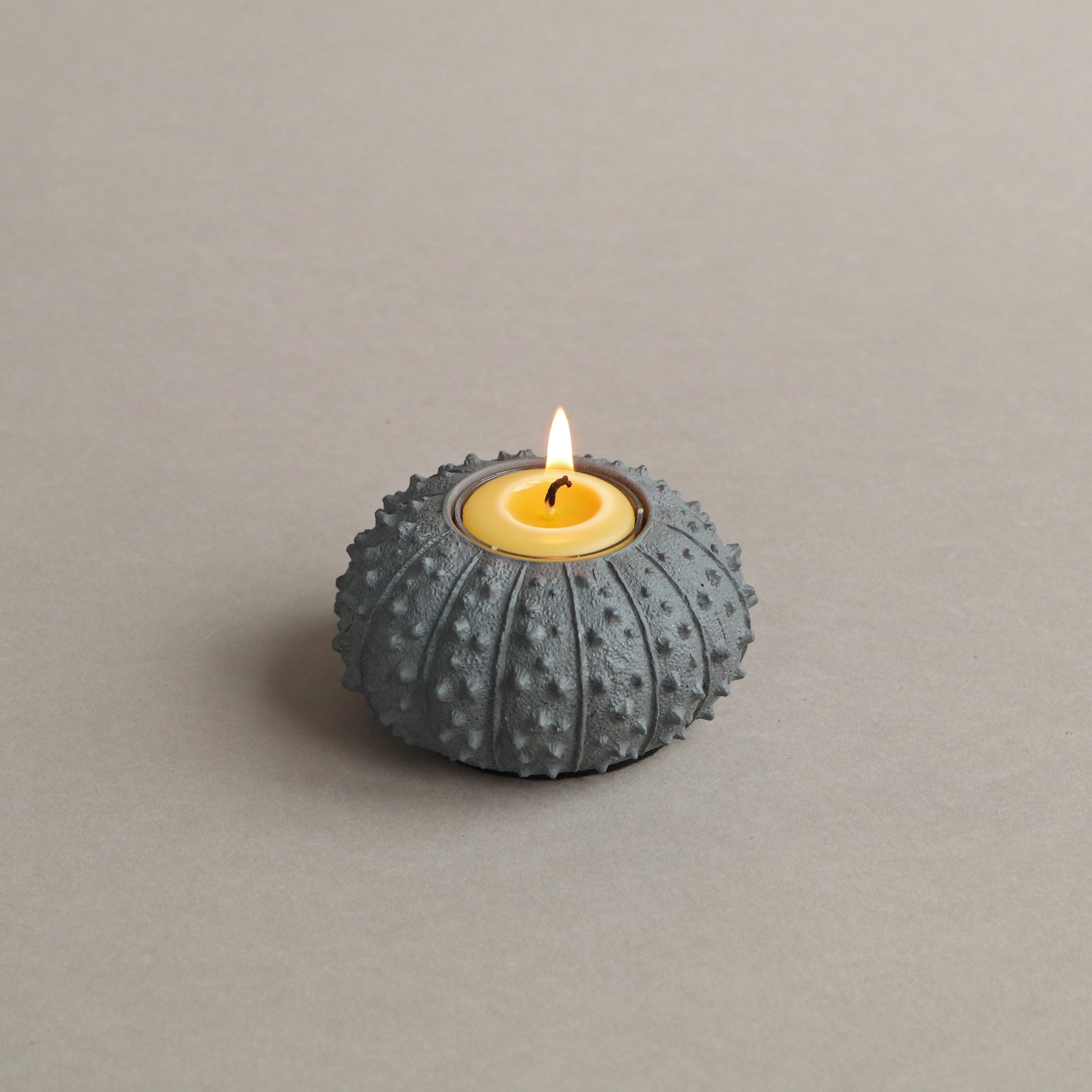 Sea Urchin Tealight Holder