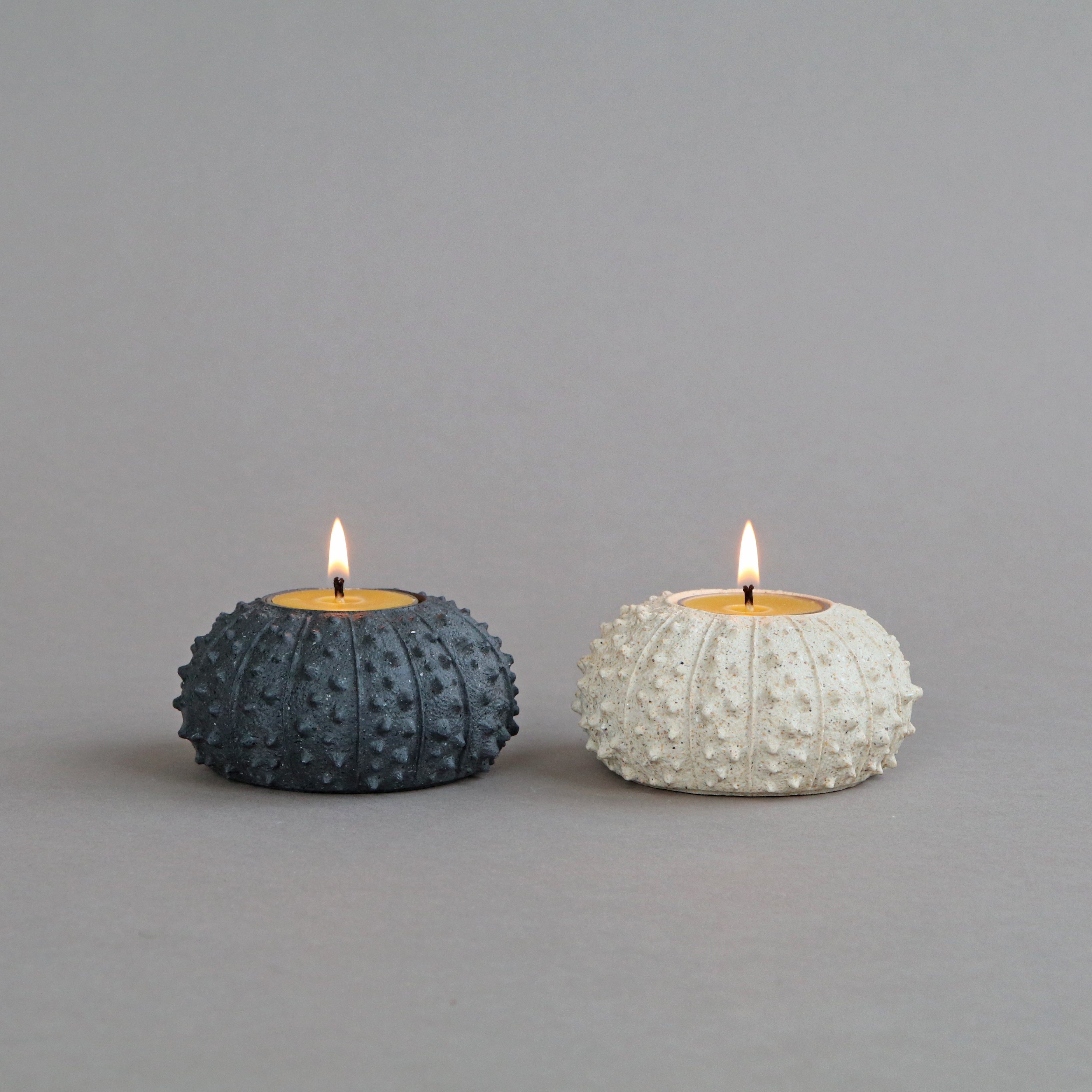 Sea Urchin Tealight Holder