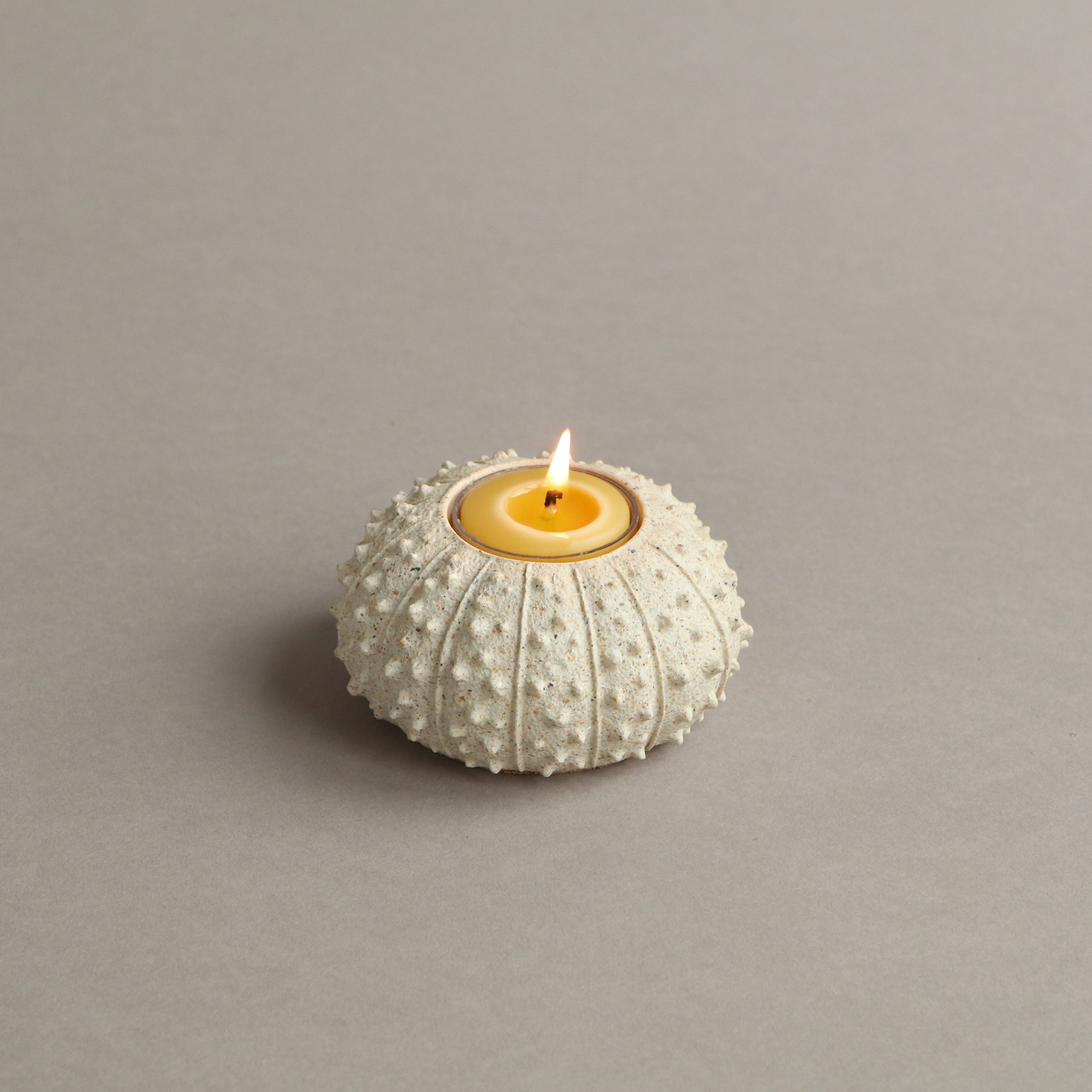 Sea Urchin Tealight Holder