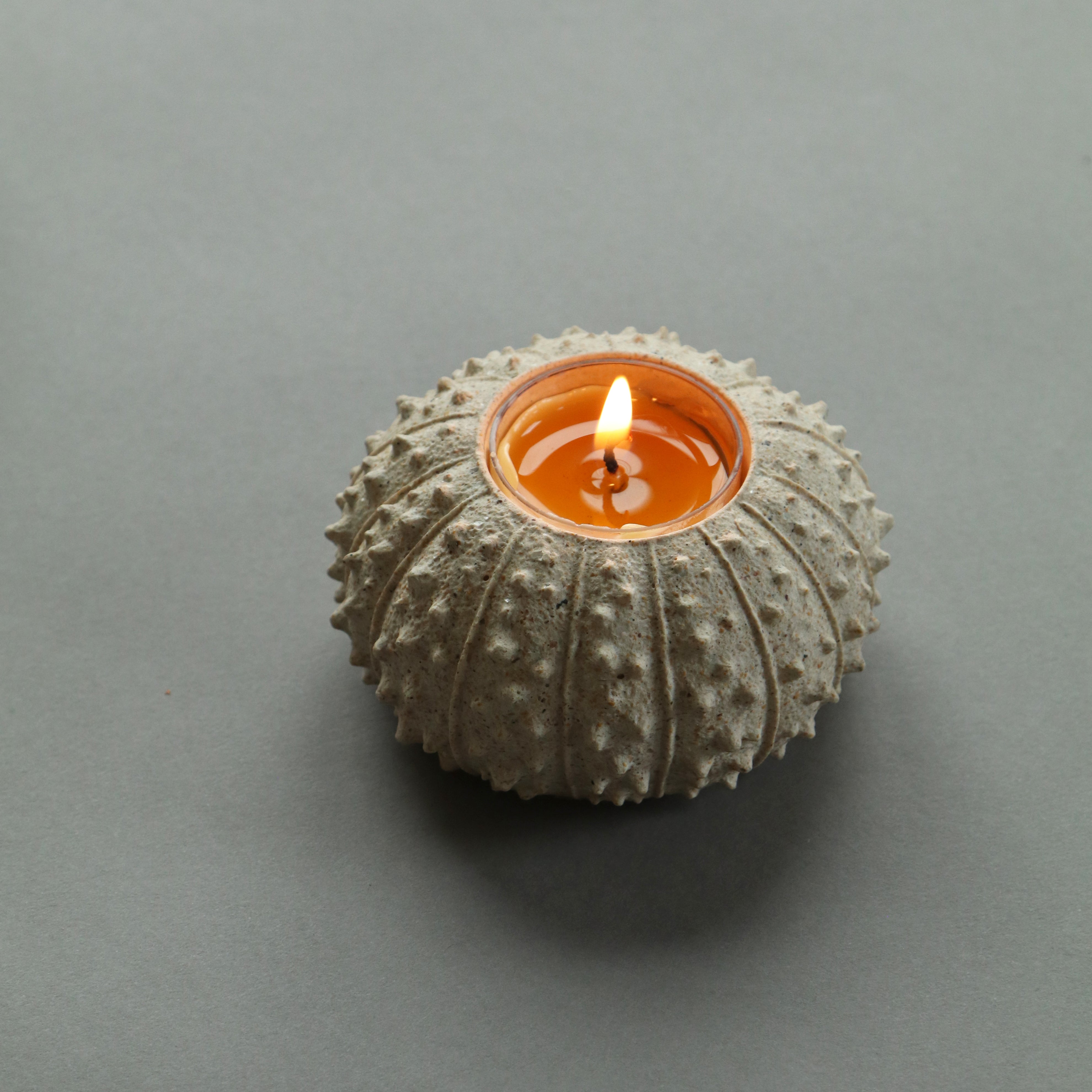 Sea Urchin Tealight Holder