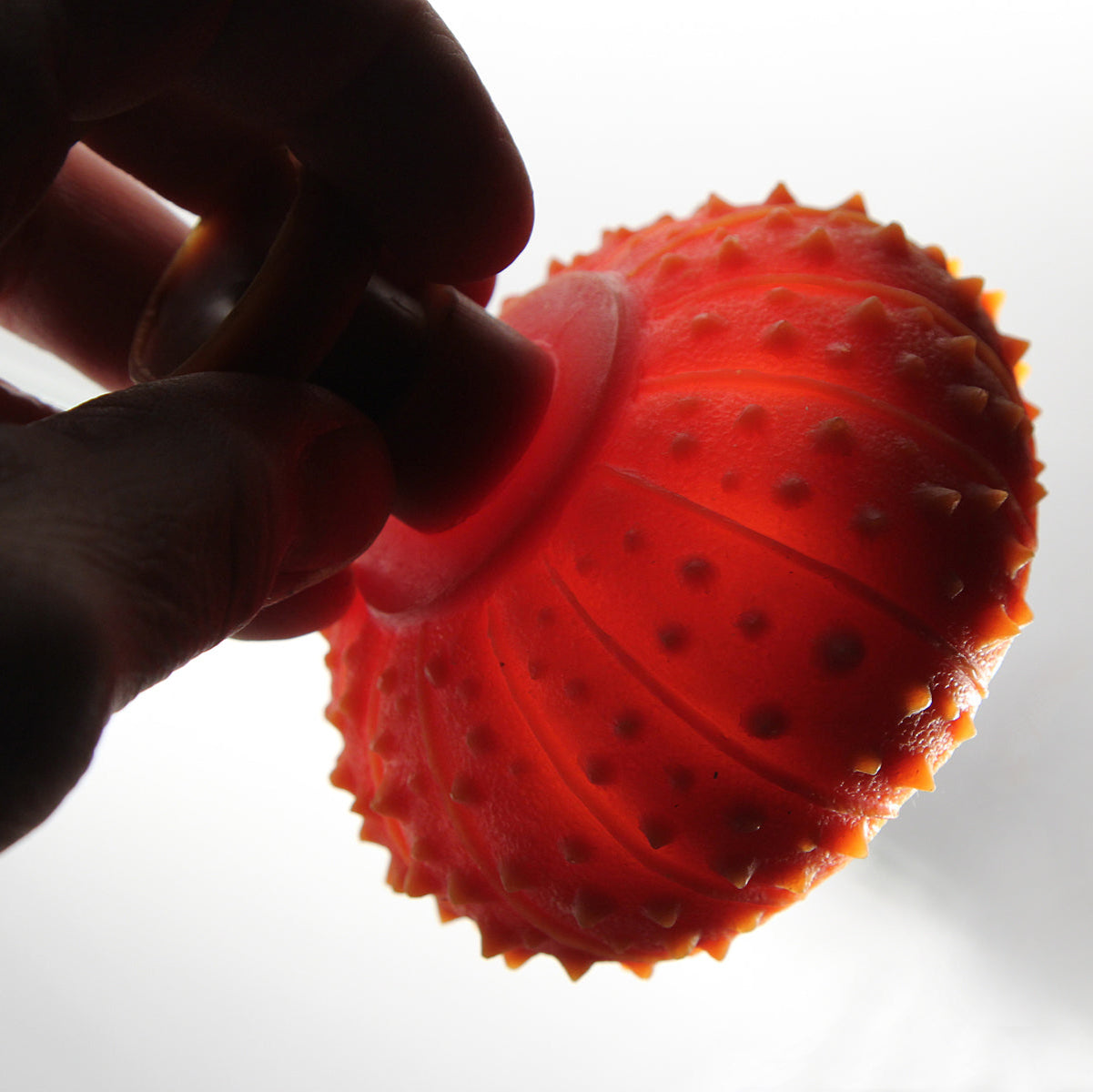 hand holding wax sea urchin casting