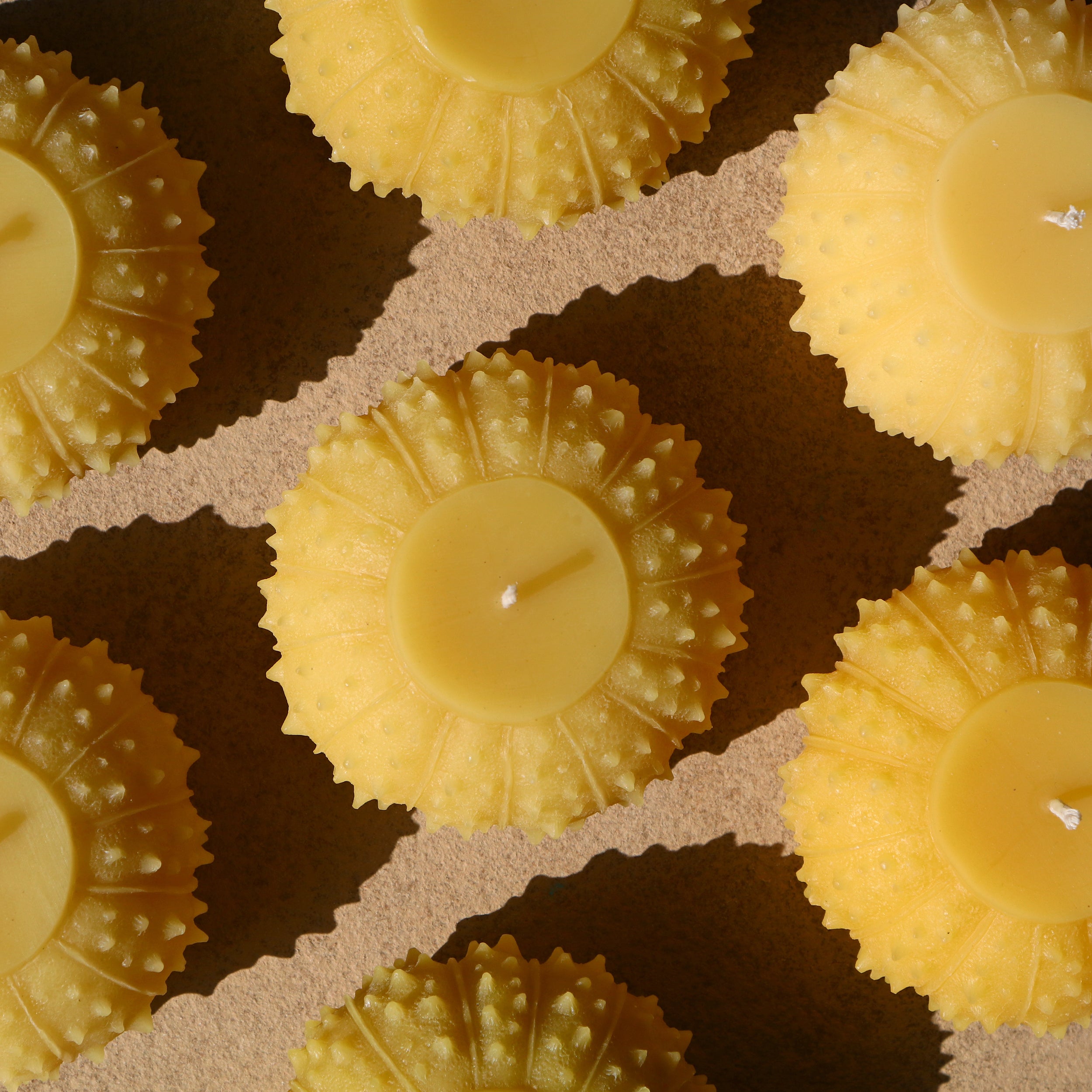 group of urchin beeswax candles from above