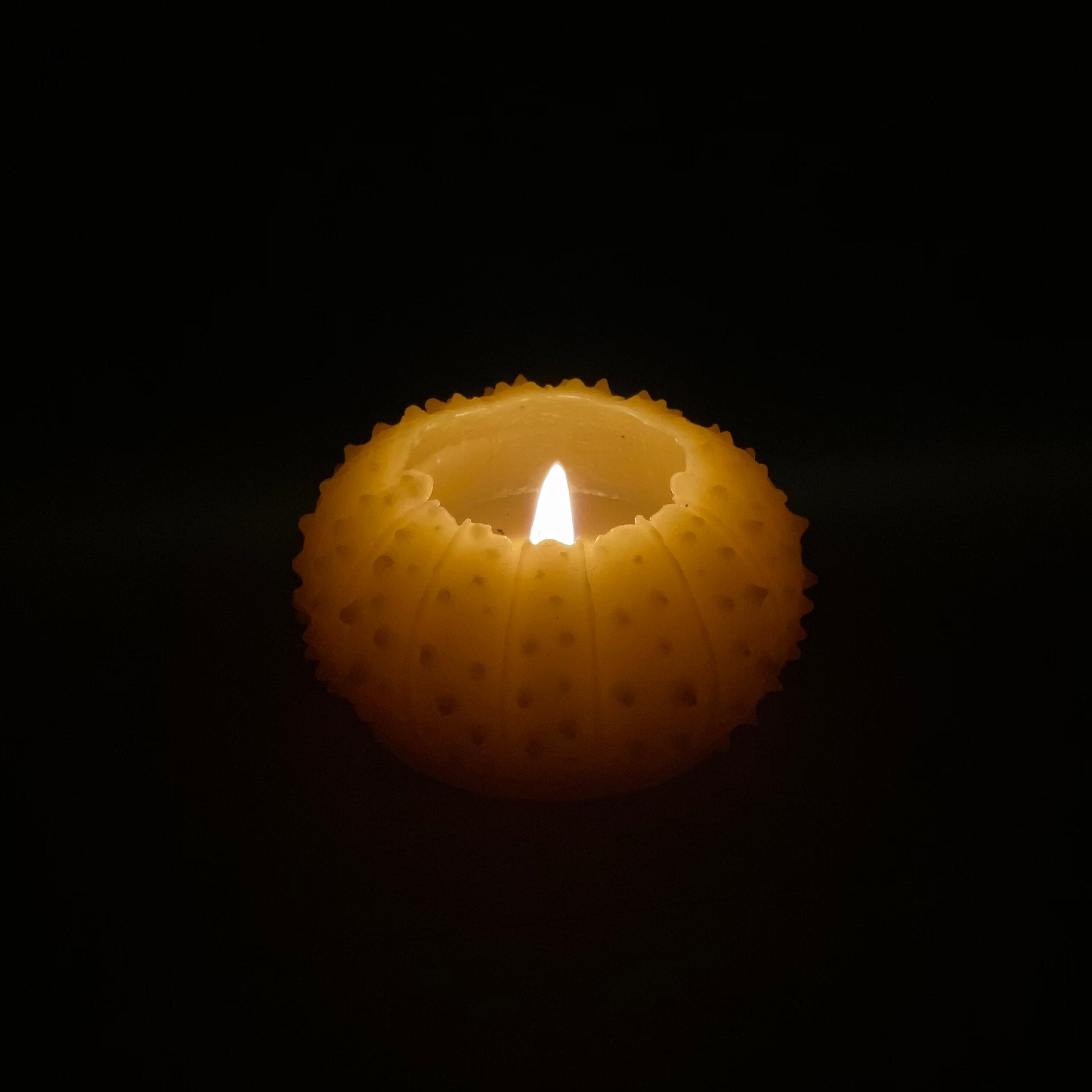 urchin candle glowing in dark