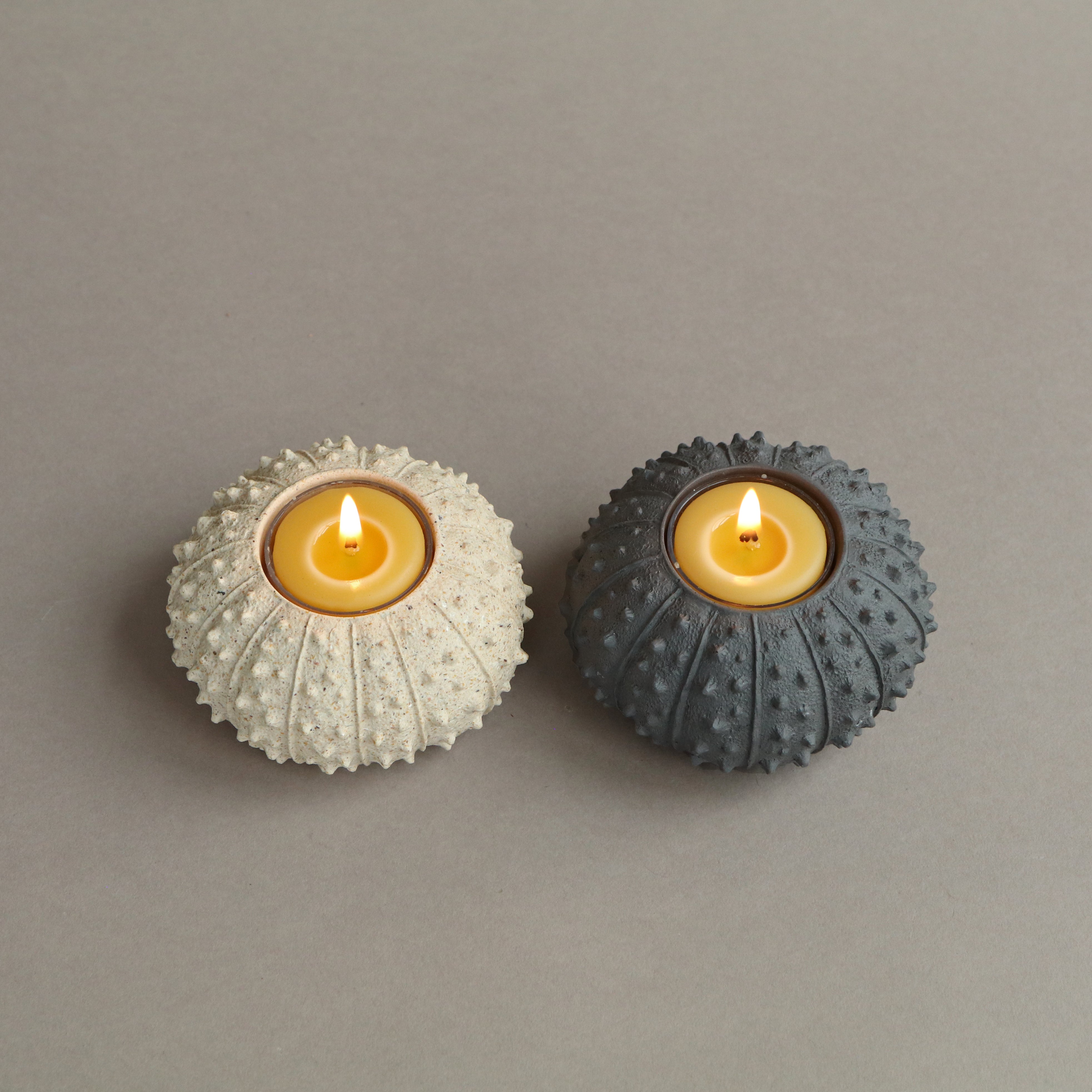 Sea Urchin Tealight Holder