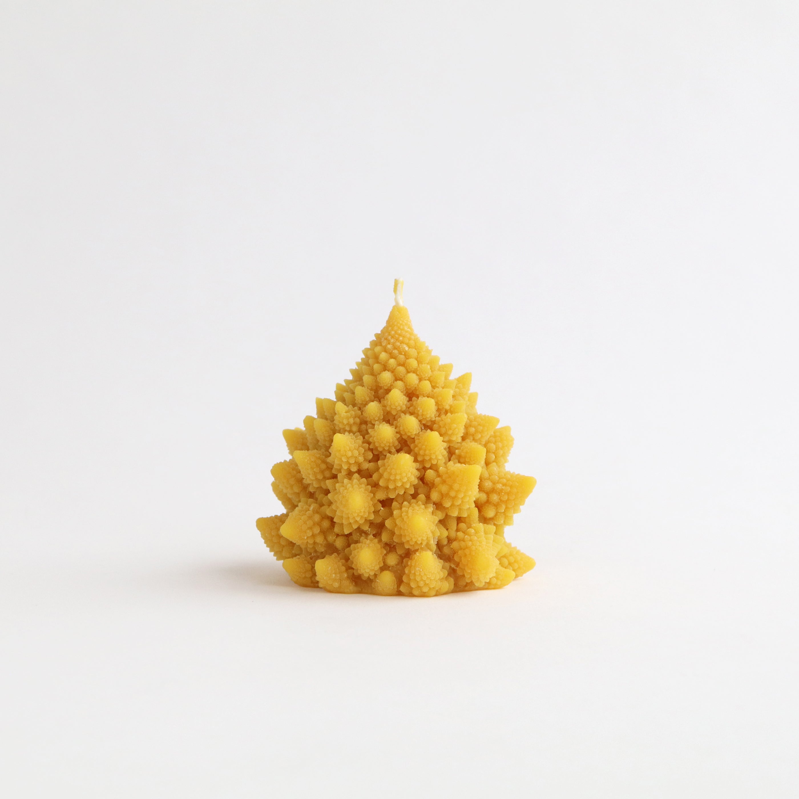 Romanesco Beeswax Candle