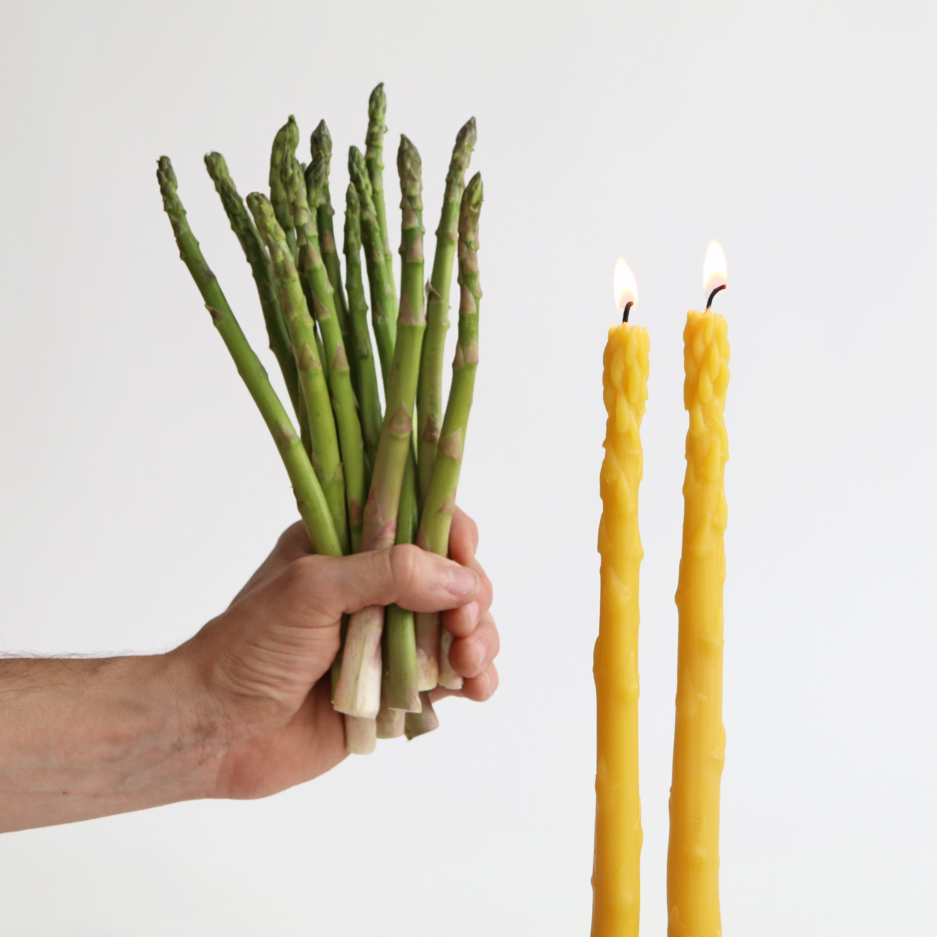 hand with bunch of asparagus spears and candle tapers