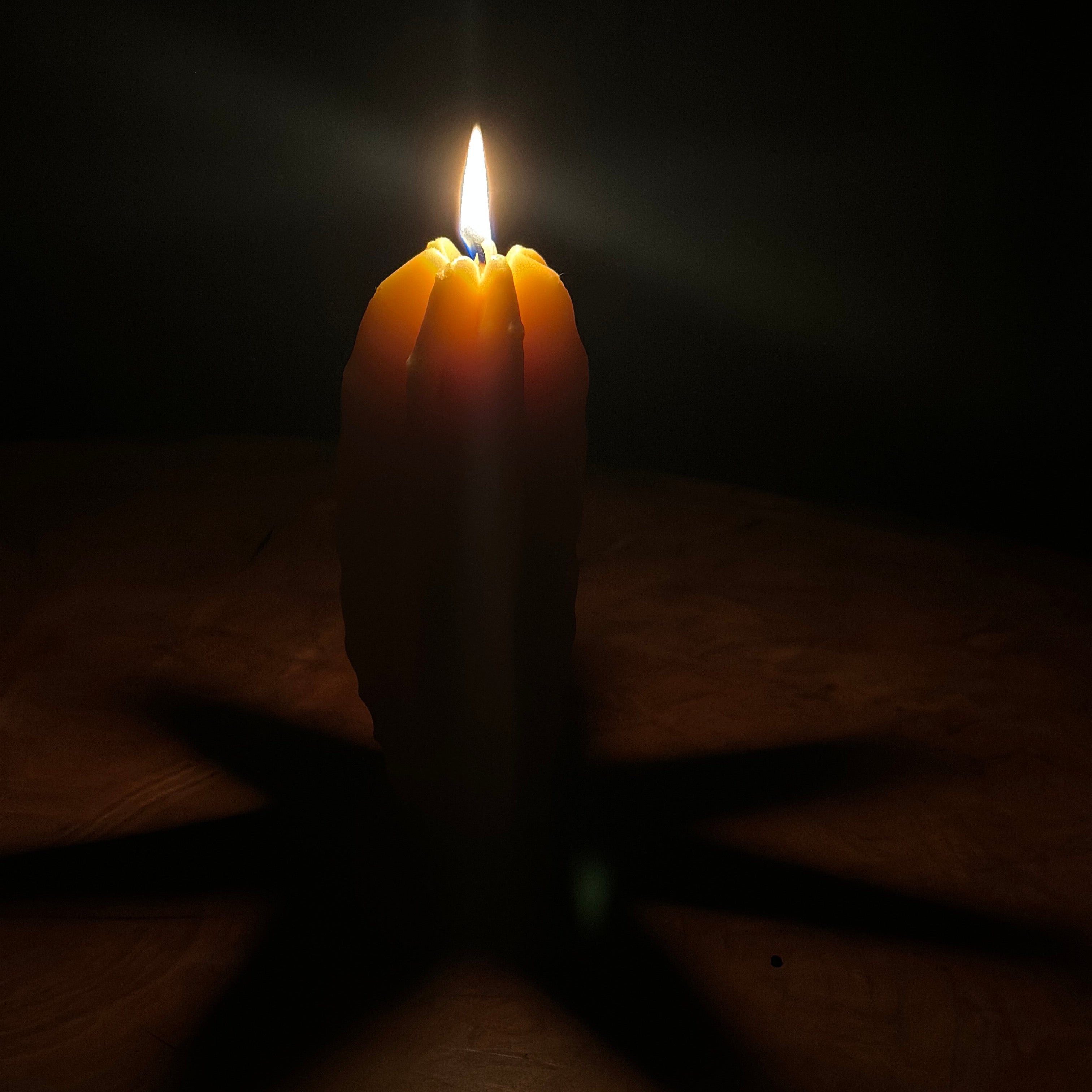 cactus candle lit and creating a star shadow below