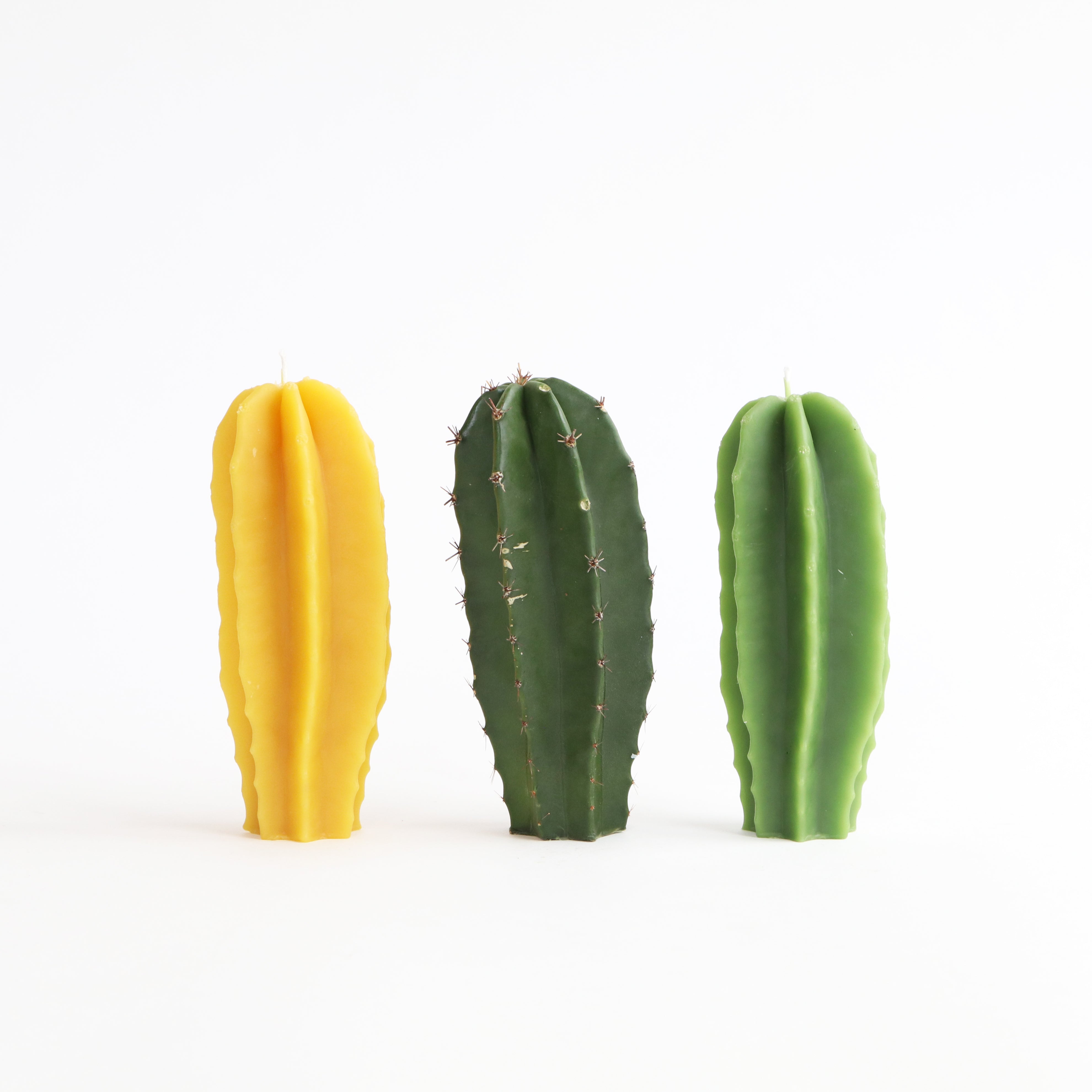Three cactus-shaped candles in yellow, green, and another green shade on a white background