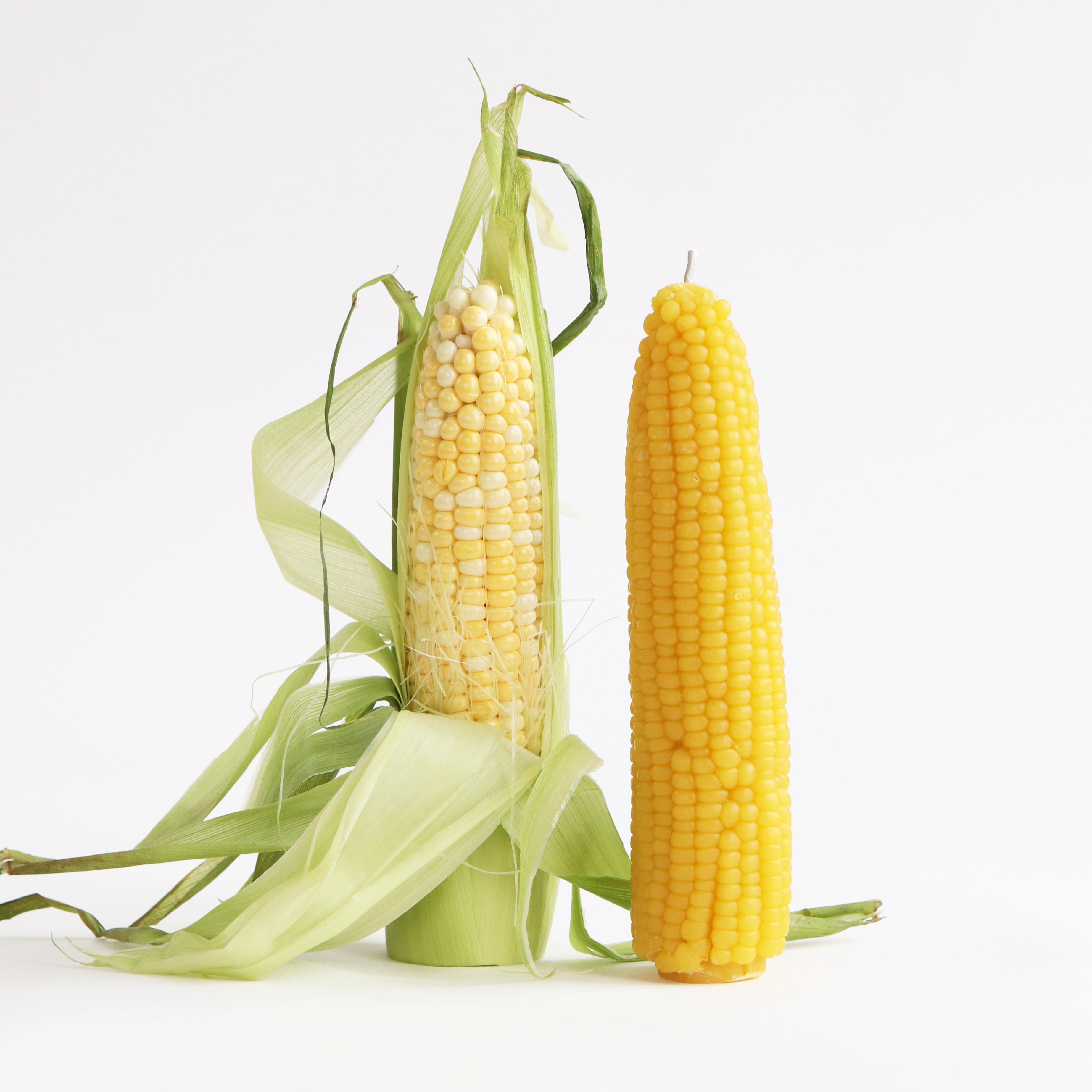 corn candle and real corn cob