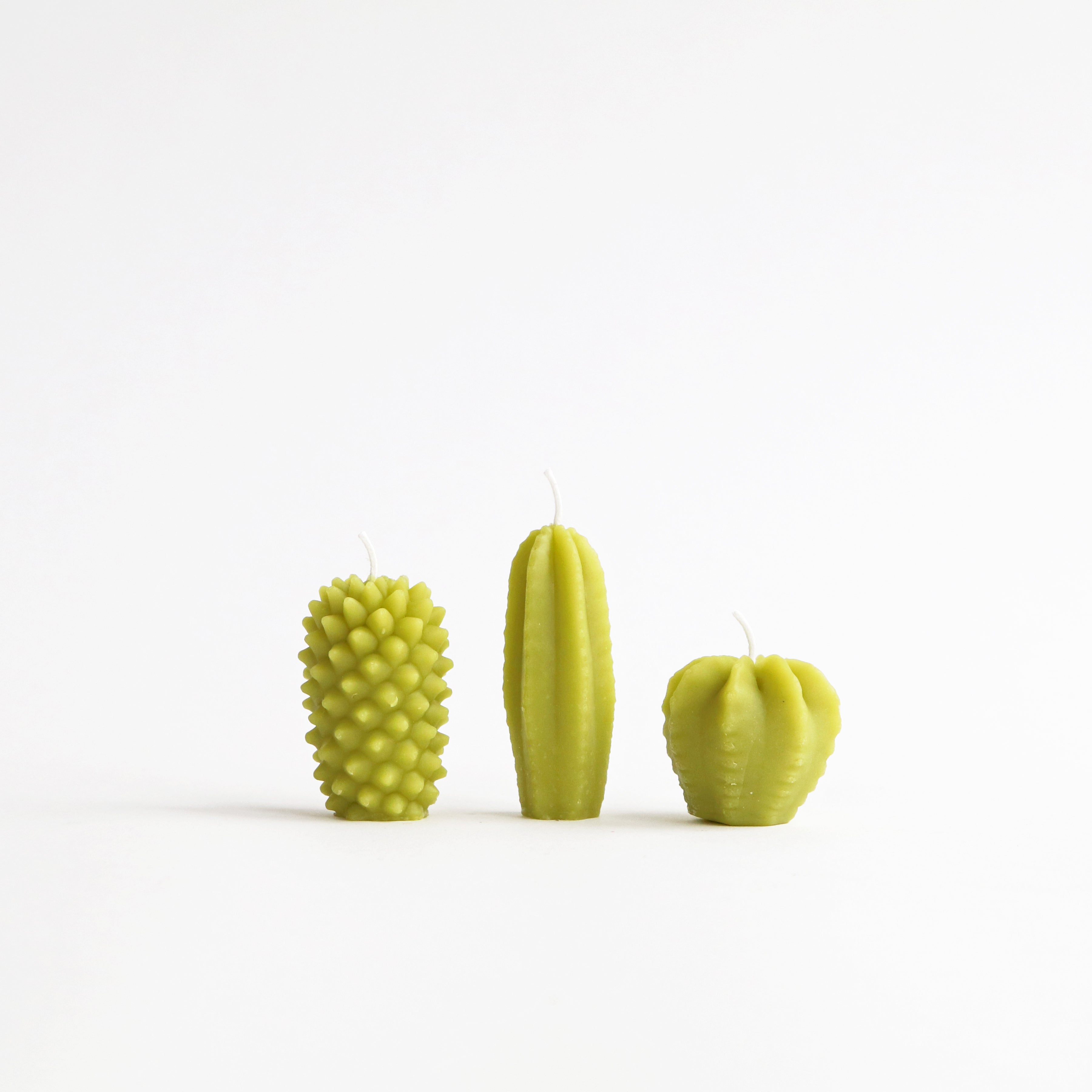 three cacti beeswax candles green