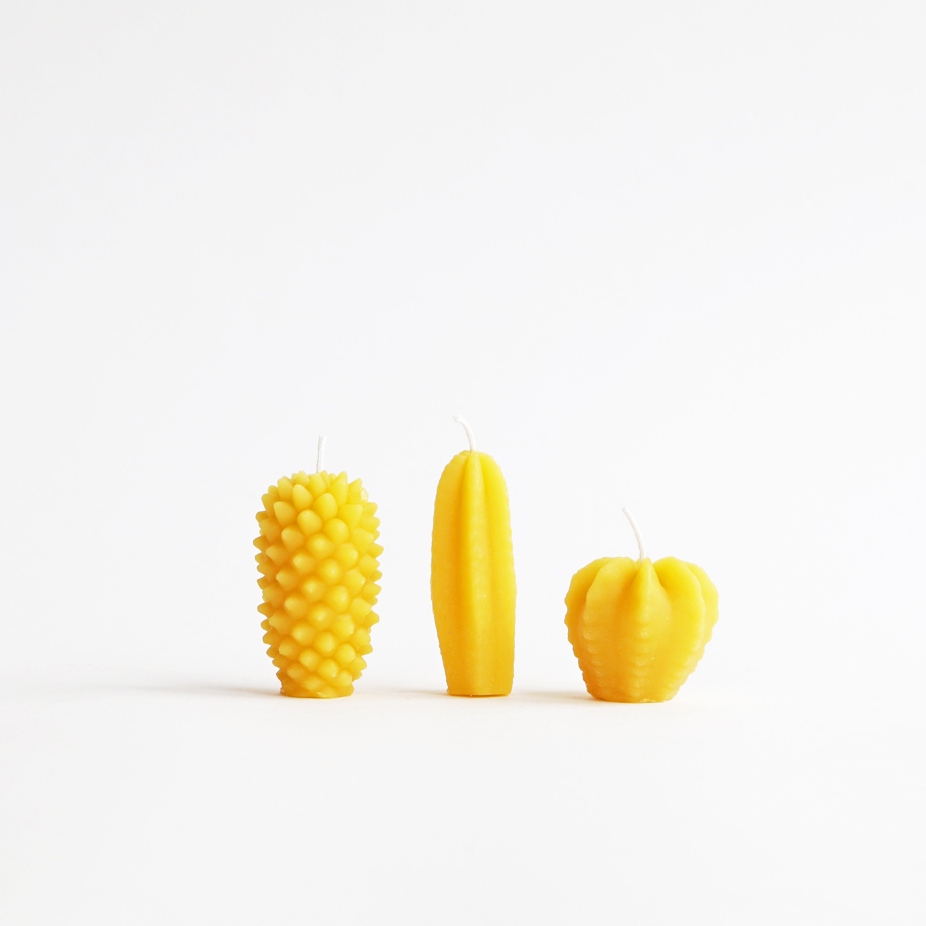 three cacti beeswax candles yellow