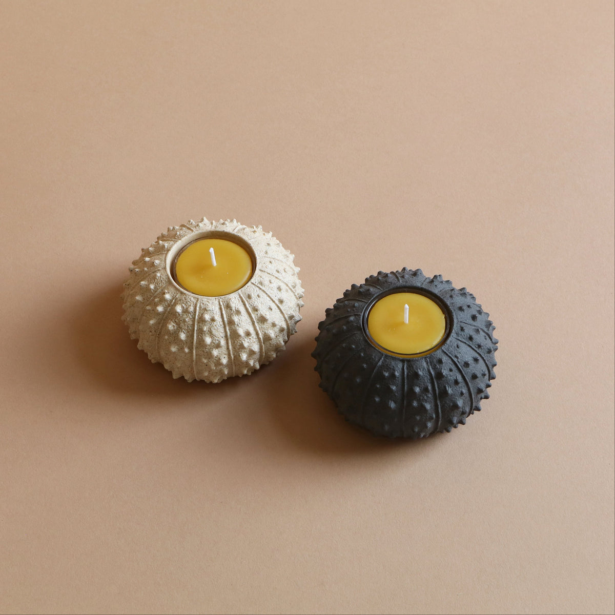 Sea Urchin Tealight Holder