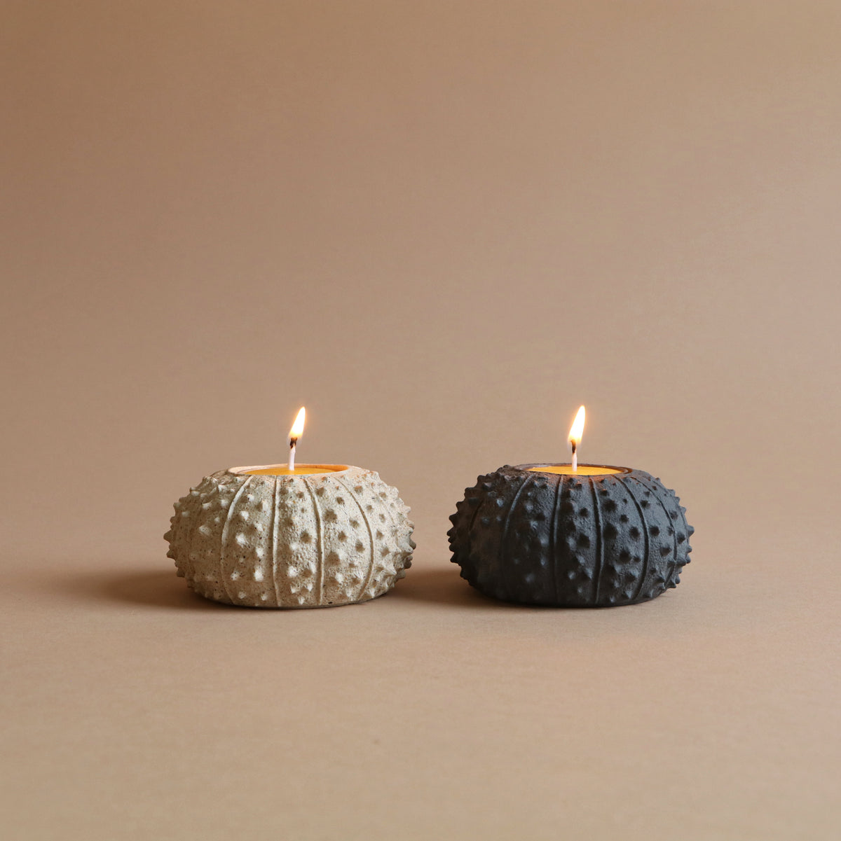 Sea Urchin Tealight Holder