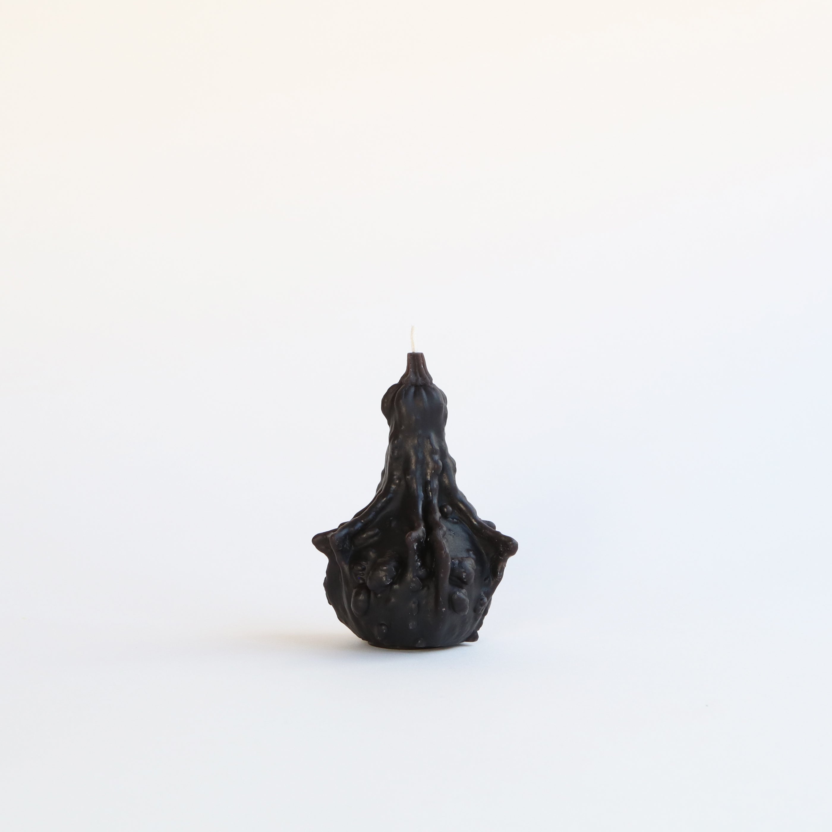 Gourd Beeswax Candle