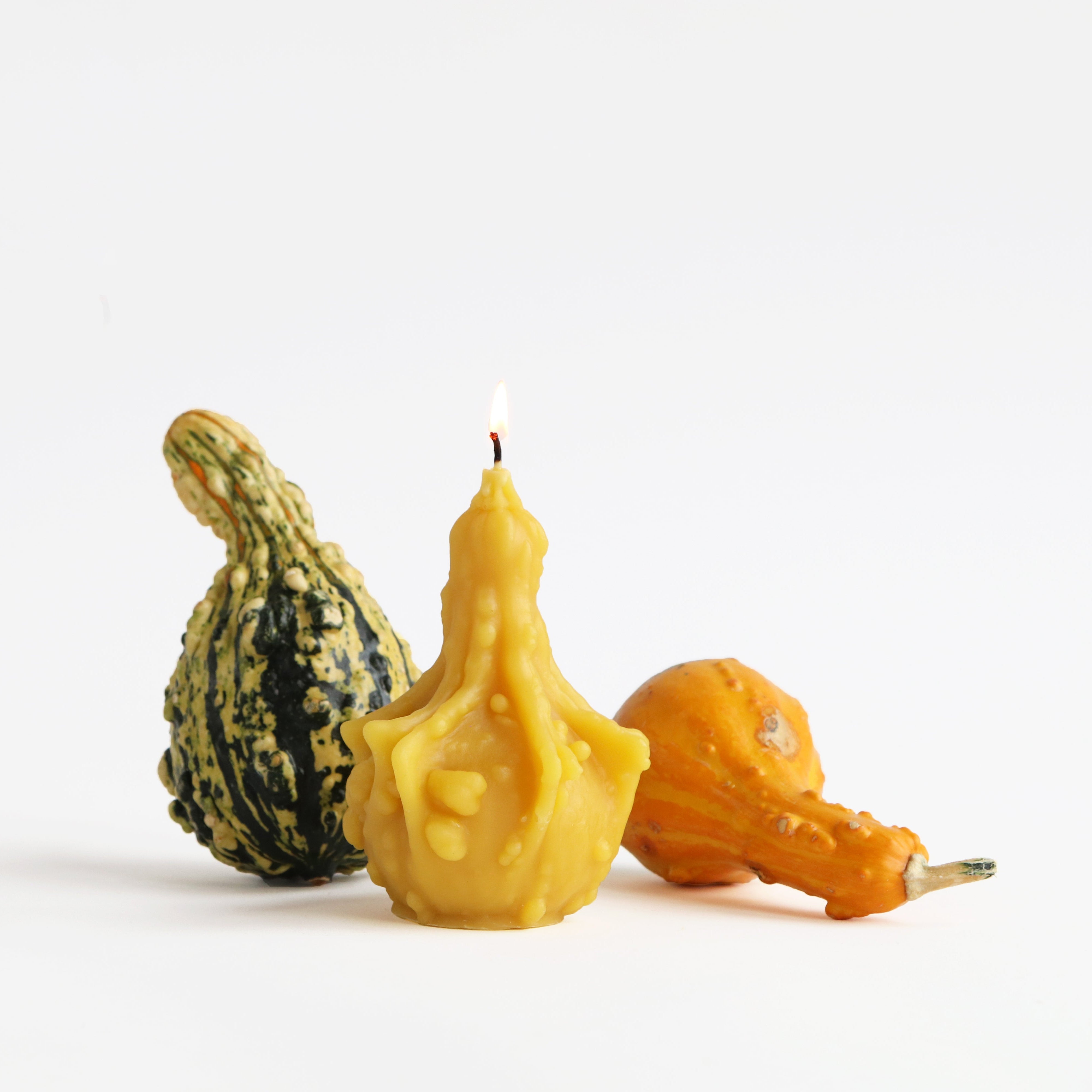 Gourd candle with fall decor