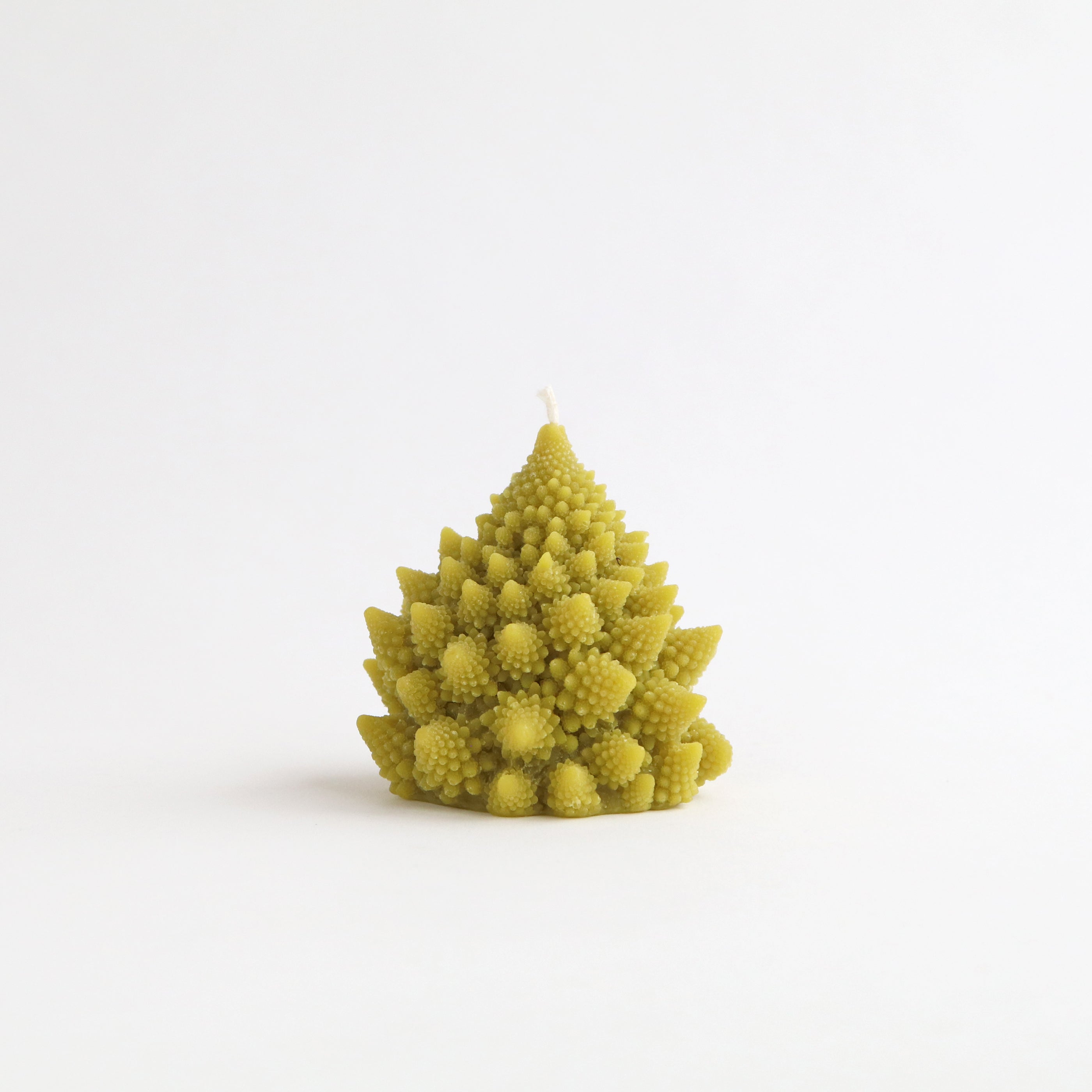 Romanesco Beeswax Candle