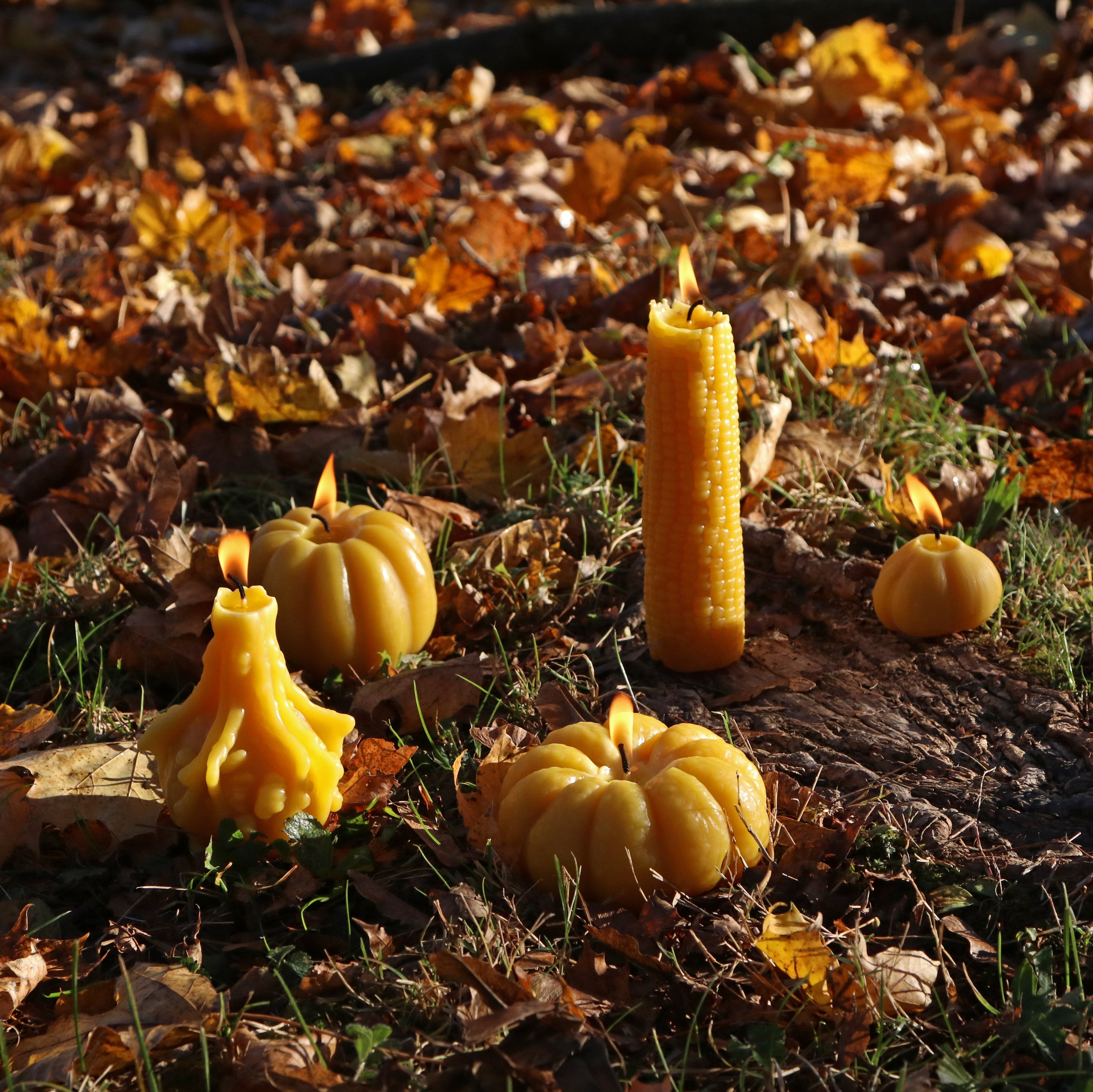 Yellow candles and pumpkins on a ground covered with fallen leaves