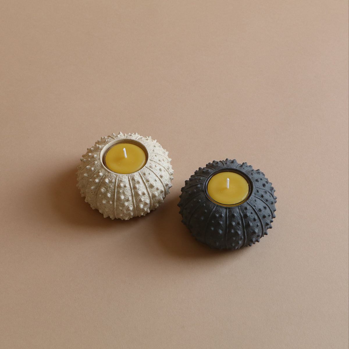 Sea Urchin Tealight Holder