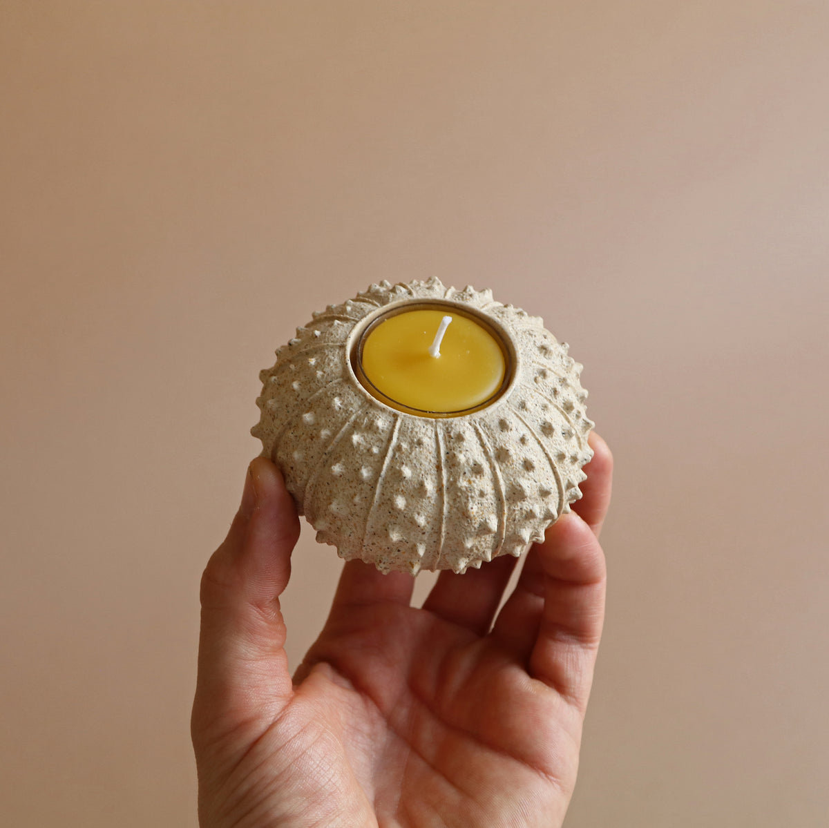 Sea Urchin Tealight Holder