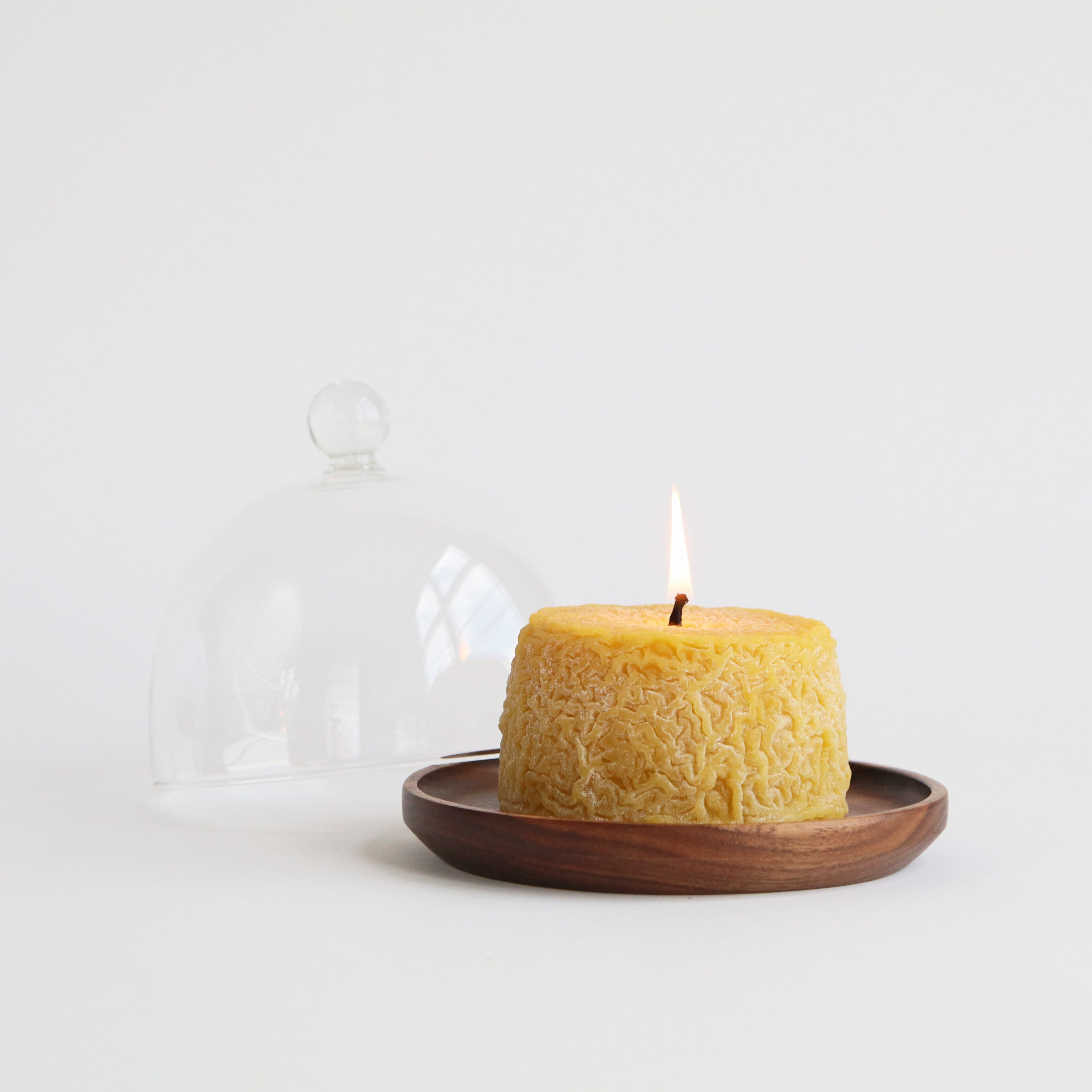 lit cheese candle with glass dome