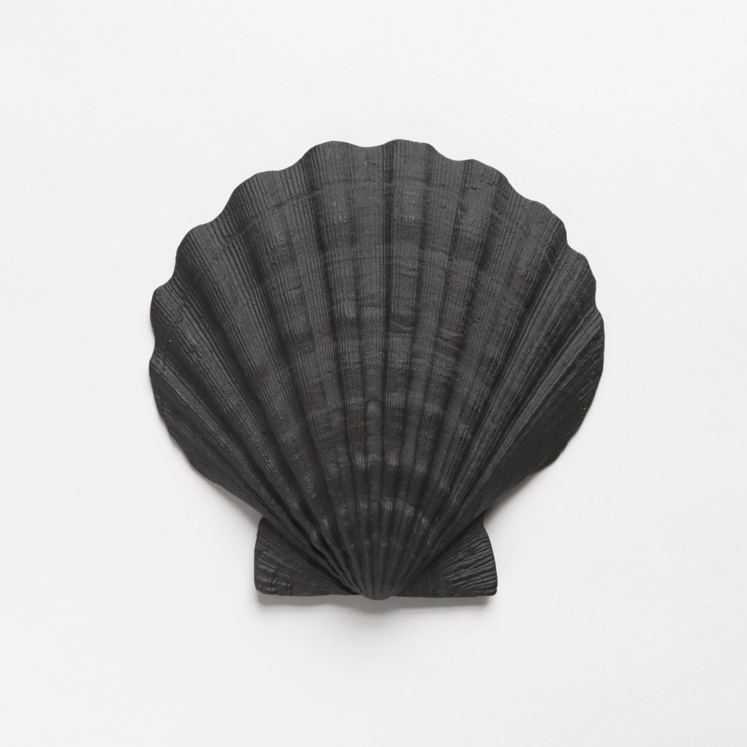 Black shell-shaped object on a white background