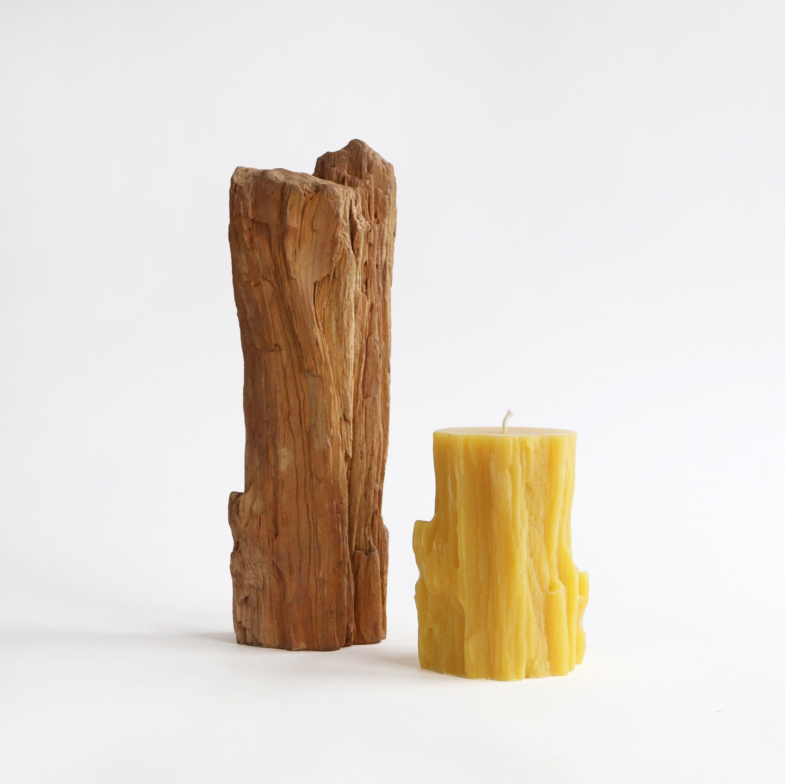 beeswax candle and petrified wood