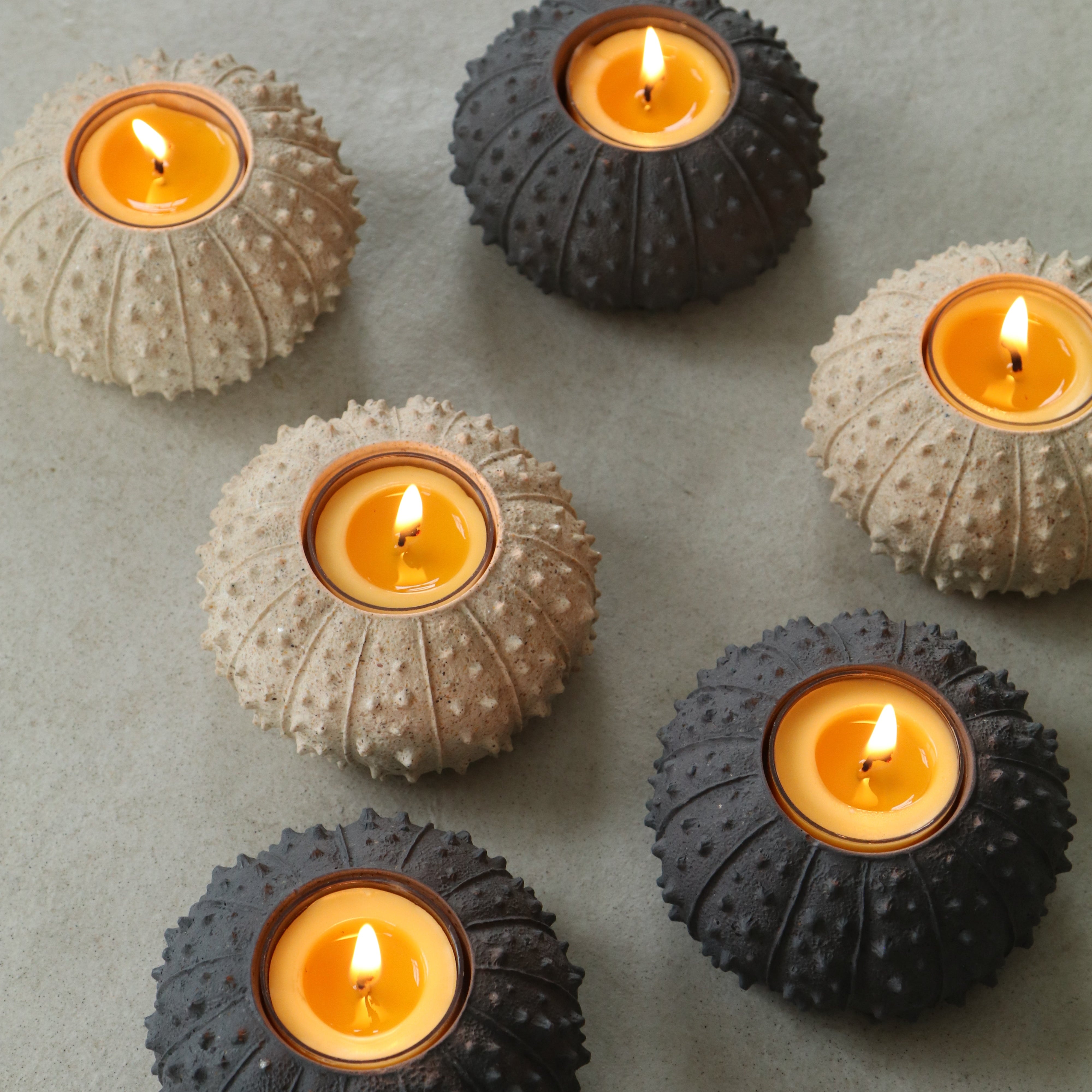 Decorative candles in shell-shaped holders on a textured surface