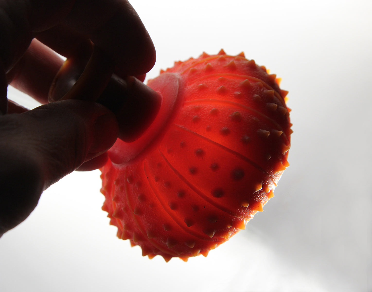 hand holding wax sea urchin casting